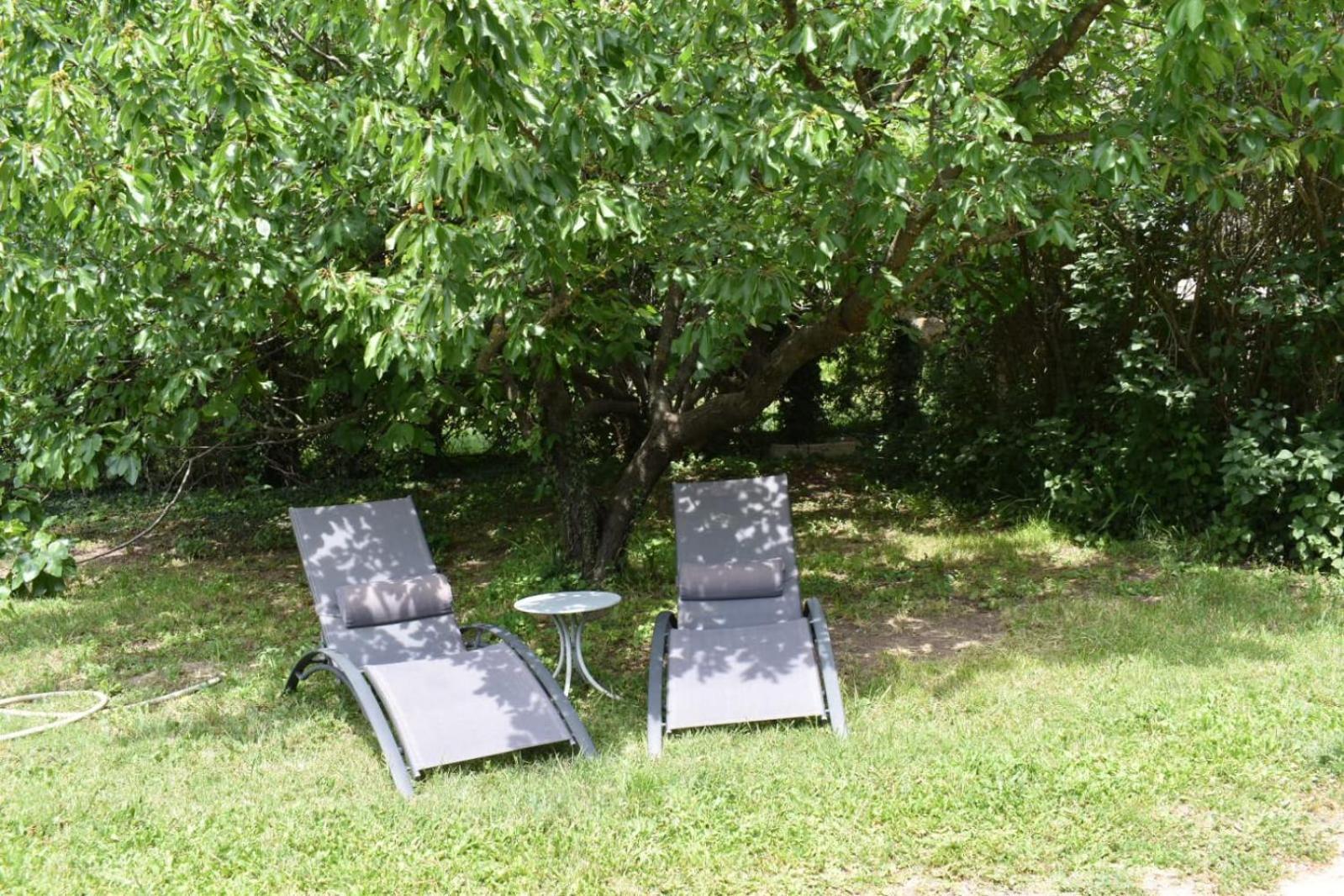 Gite Rural "Chez Paulette" - Provence - Luberon Кавайон Екстериор снимка